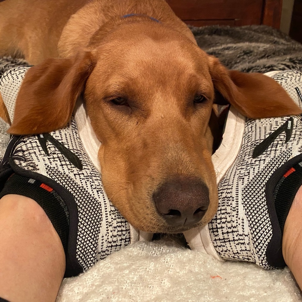 Meet your Posher, Kirsten